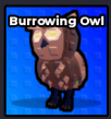 Burrowing Owl - Steal an Egg pet