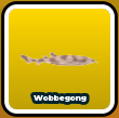 Wobbegong