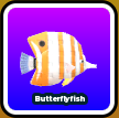 Butterflyfish
