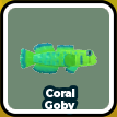 Coral Goby