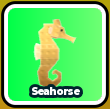 Seahorse