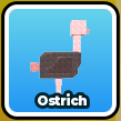 Ostrich