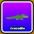 Crocodile