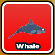 Whale