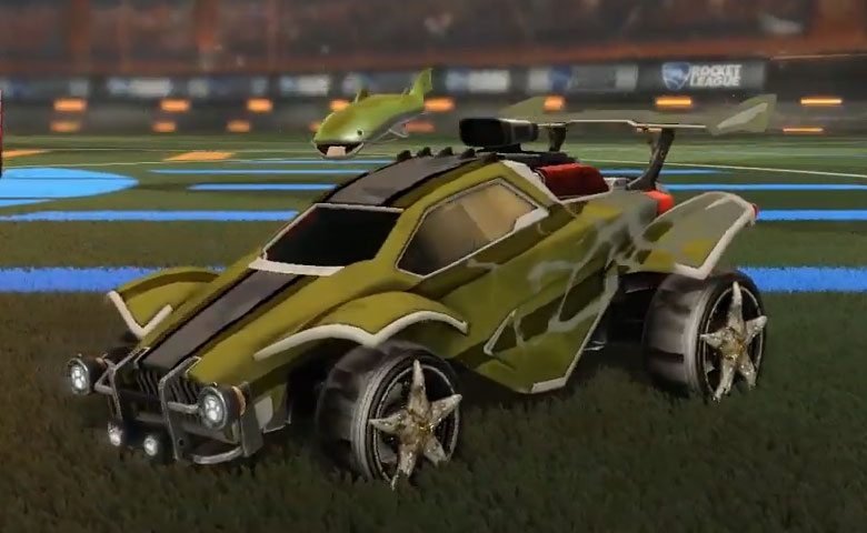 Asterias Design