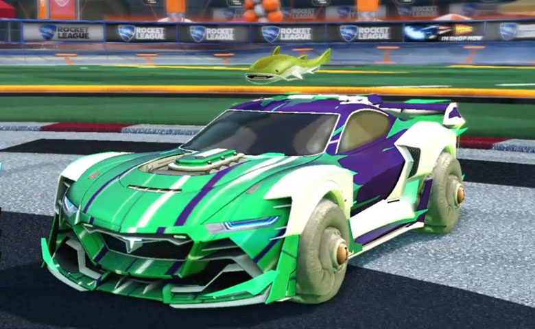Cephalo Design