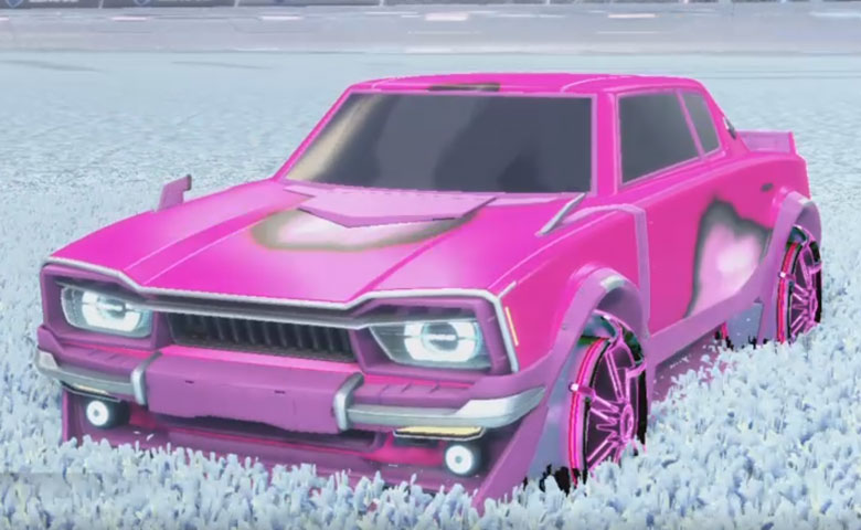 Dingo-Pink Design