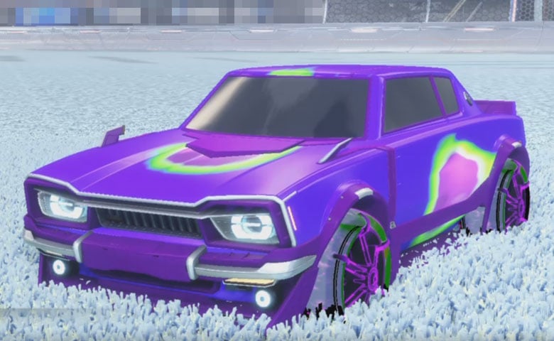 Dingo-Purple Design