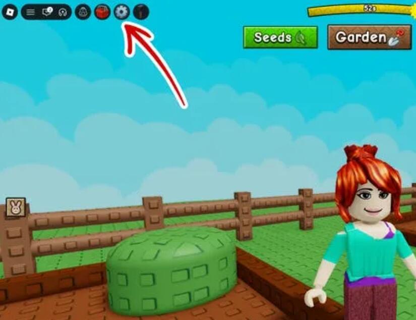 How to Redeem GaG 2 Codes
